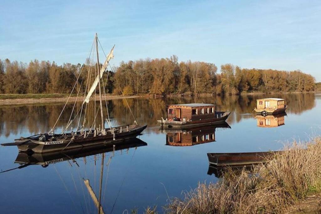 Gite La Gabare Entre Loire Et Chambord Villa Saint-Dye-sur-Loire Ngoại thất bức ảnh